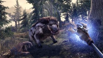 Immagine -1 del gioco The Elder Scrolls Online: Greymoor per Xbox One